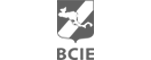 Enlace a bcie.org